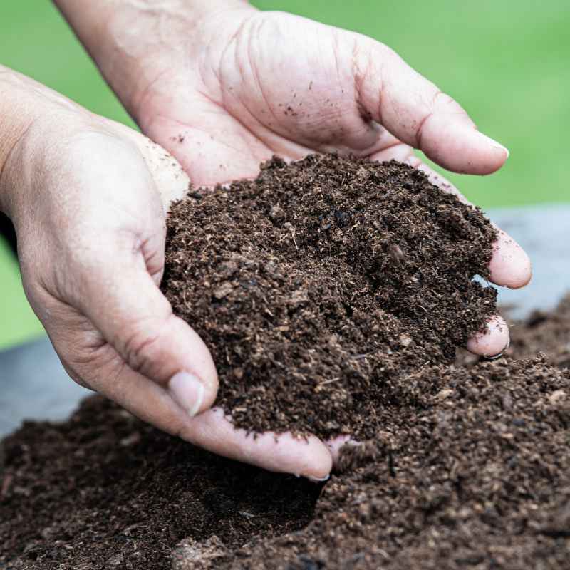 How to Increase Dark Highly Decomposed Organic Matter in Your Soil