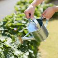 How to Prepare Tap Water for Vegetable Gardens the Right Way
