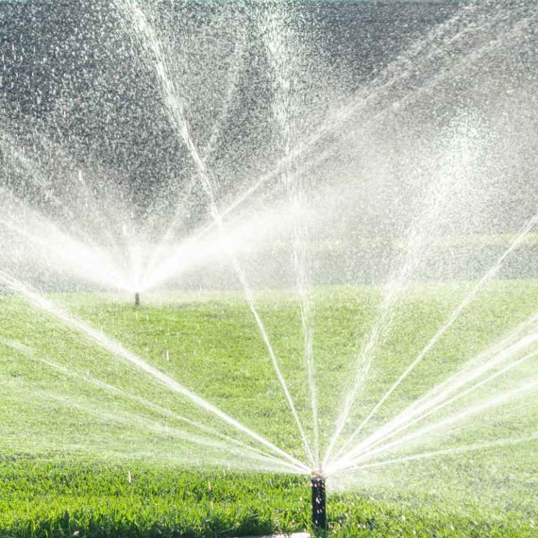 How to Set Up a Permanent Watering Source With Nelson'S System