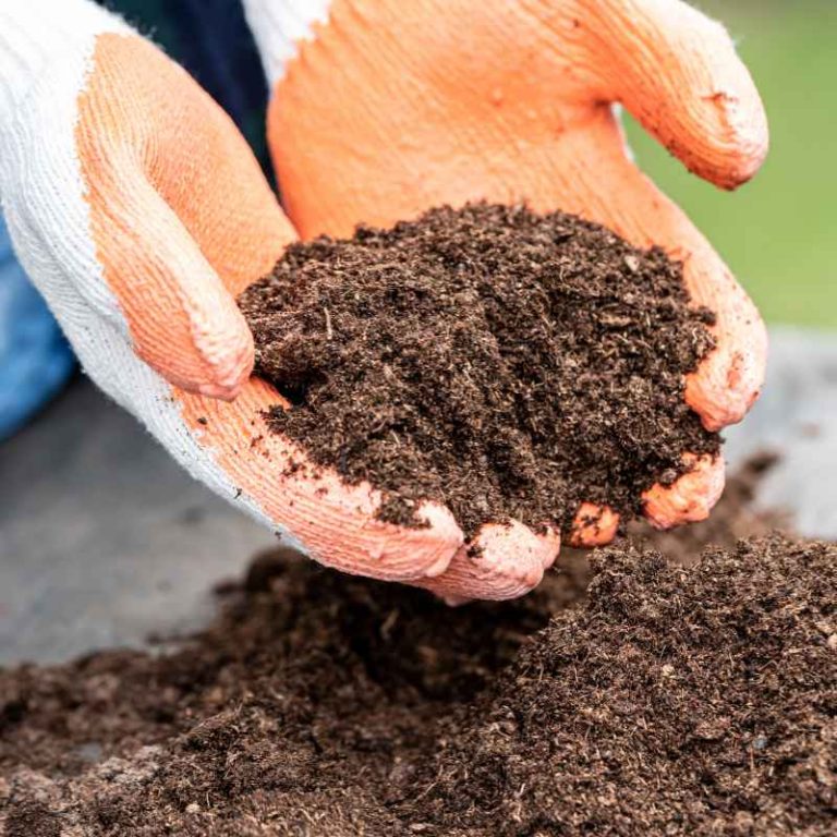 Is Dark Highly Decomposed Organic Matter Found in Soil