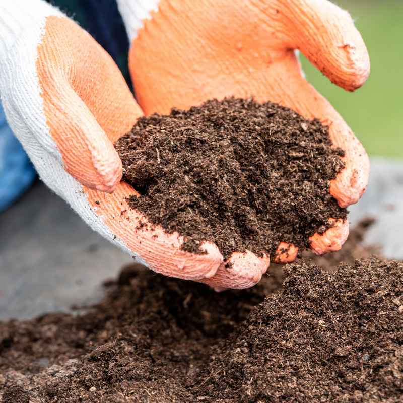 Is Dark Highly Decomposed Organic Matter Found in Soil