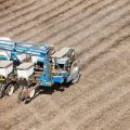 Is Hemp Seed Planted Using a Planter or Drill