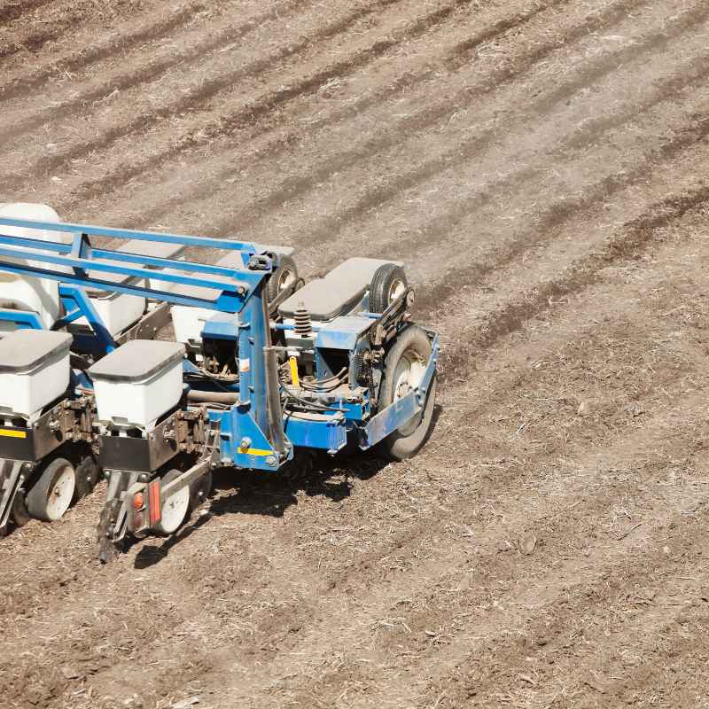 Is Hemp Seed Planted Using a Planter or Drill