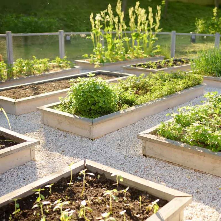 Is It Safe To Use Concrete For Vegetable Gardens