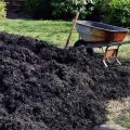 Is Scotts Black Mulch Safe For Vegetable Gardens