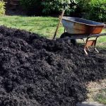 Is Scotts Black Mulch Safe For Vegetable Gardens