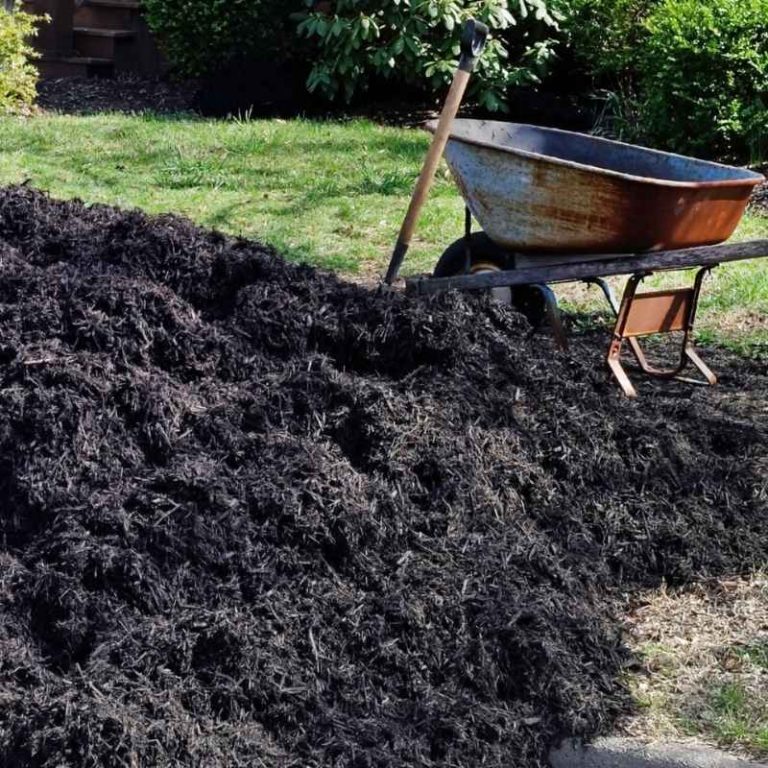 Is Scotts Black Mulch Safe For Vegetable Gardens