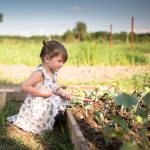Is There a Weed and Feed Safe for Vegetable Gardens
