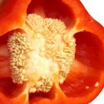 Plant Pepper Seeds From a Fresh Pepper?
