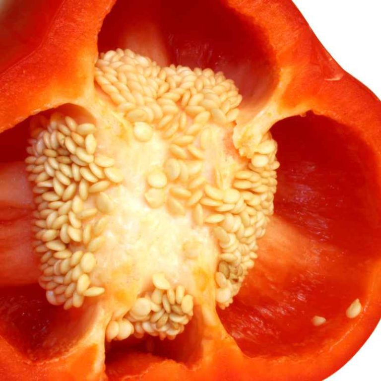 Plant Pepper Seeds From a Fresh Pepper?