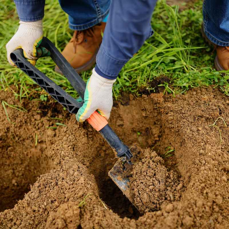 Tips for Getting the Best Gardening Soil From Habitat for Humanity