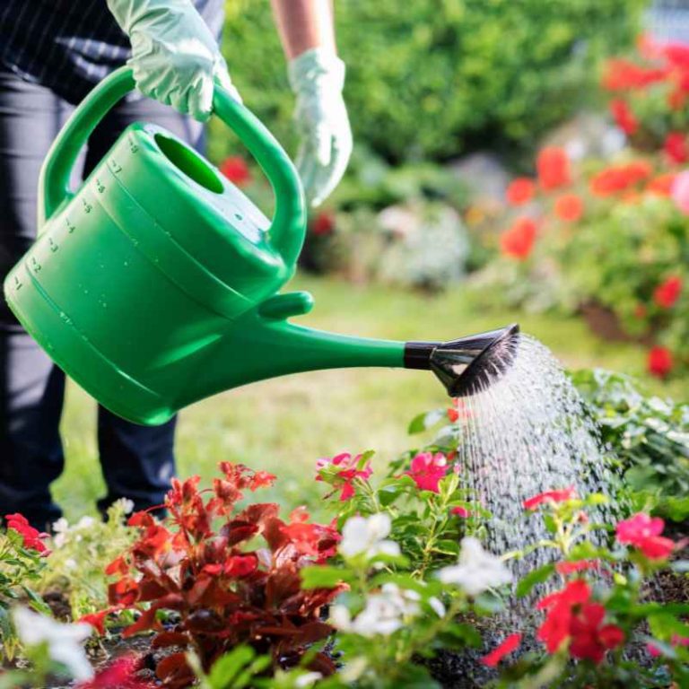 What Gardeners Can Do To Help Plants During Climate Change