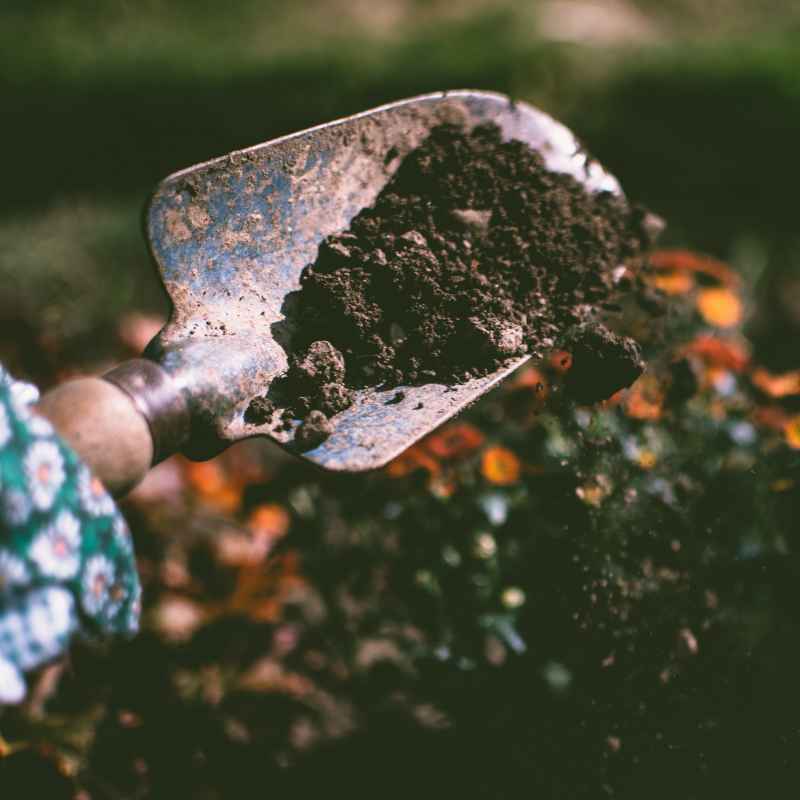 Can You Improve Gardening Soil That Has Had Chemicals?