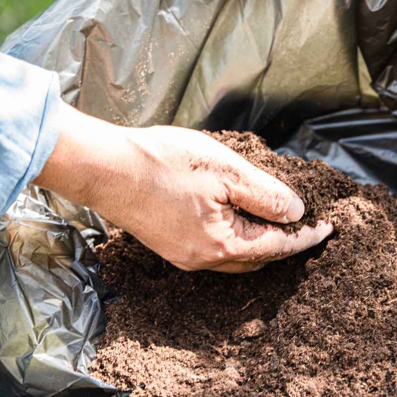 What Is Dark Highly Decomposed Organic Matter in Soil?