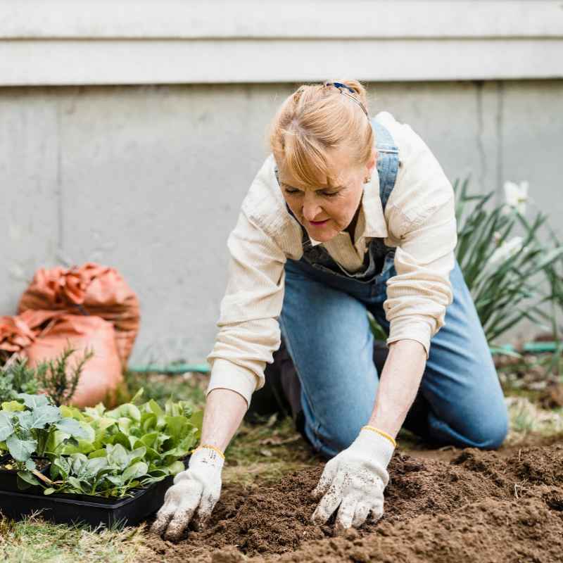 What Is Habitat for Humanity's Gardening Soil Program?