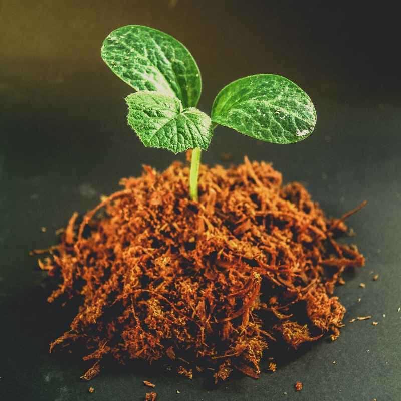 What Is Soil Acidity and How Does It Relate to Nutrient Depletion?
