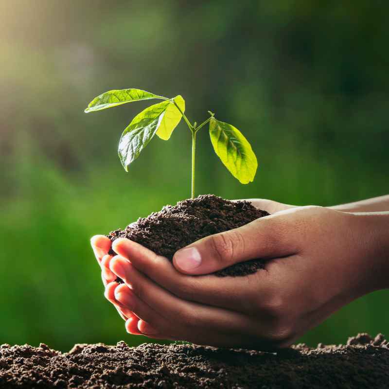 What Is Soil Organic Matter and Why Does It Matter?