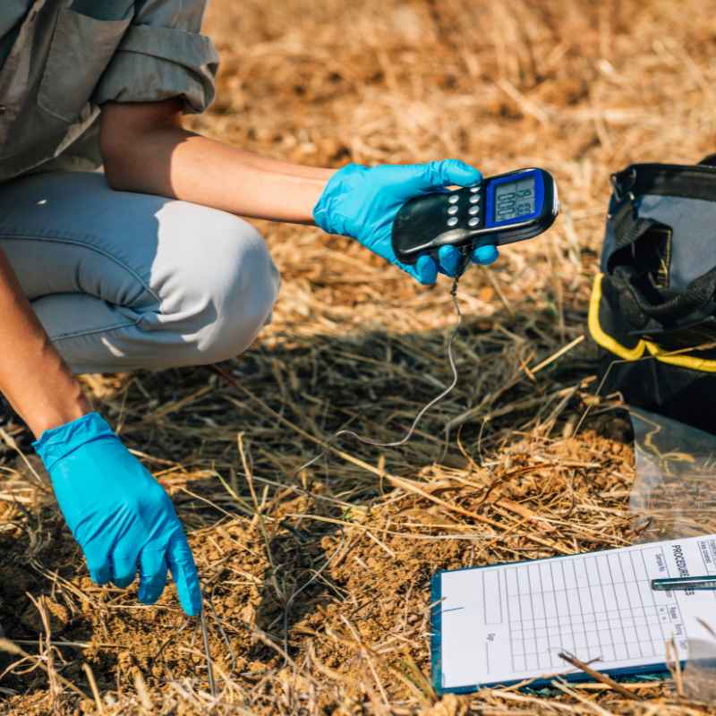 What You Need to Check Soil Temperature Without a Thermometer