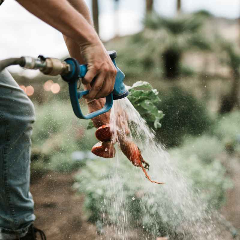 What You Need to Prepare Tap Water for Vegetable Gardens