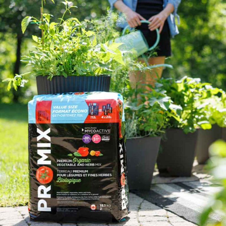 What to Mix With Pro Mix for Vegetable Gardens That Thrive