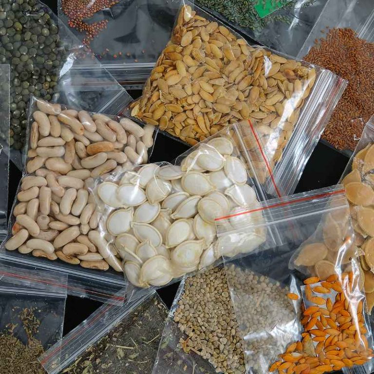 Where to Buy Non-GMO Seeds for Gardening