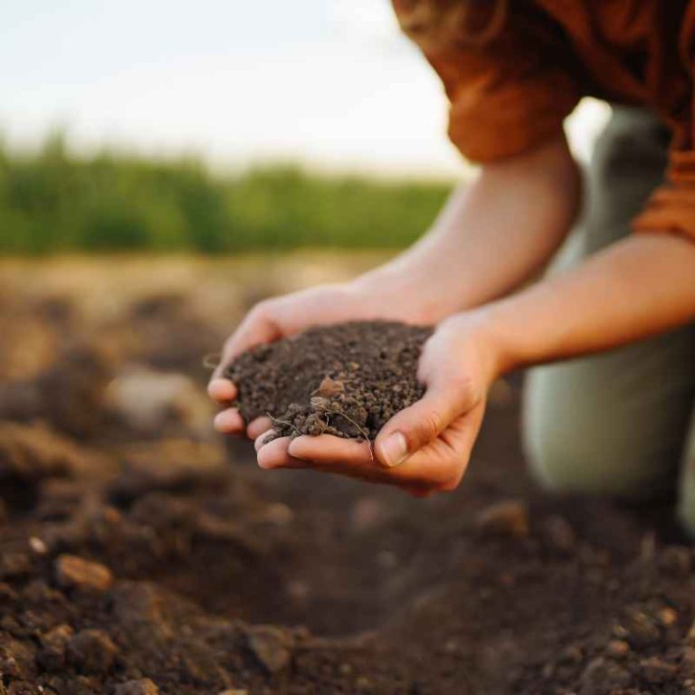 Which Property of Soil Depends on Particle Size