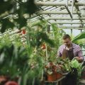 Who Is the Plant Manager for Kosher Gardens Allentown Pa?