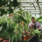 Who Is the Plant Manager for Kosher Gardens Allentown Pa?