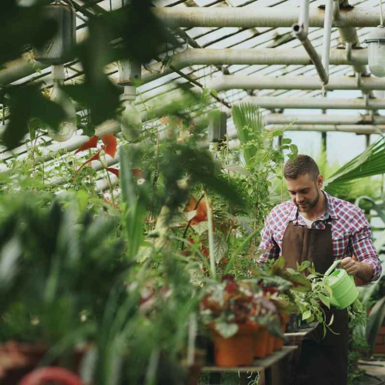 Who Is the Plant Manager for Kosher Gardens Allentown Pa?
