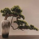 Why Are the Needles on My Bonsai Tree Turning Brown?