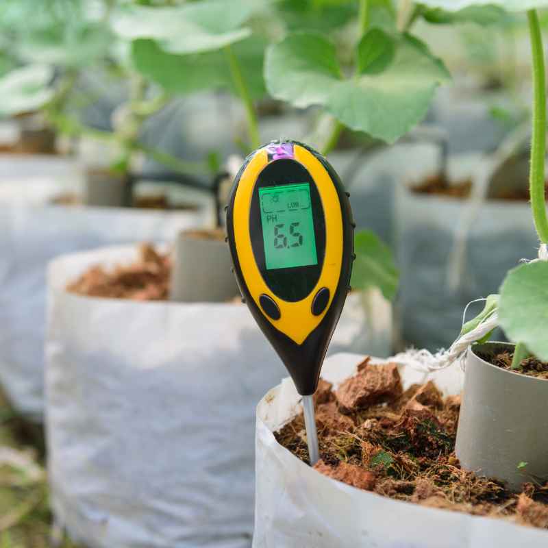 Why Does Soil Acidity Matter for Crop Yields?
