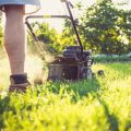 Why Lawn Fertilization Is Vital for a Thriving Yard