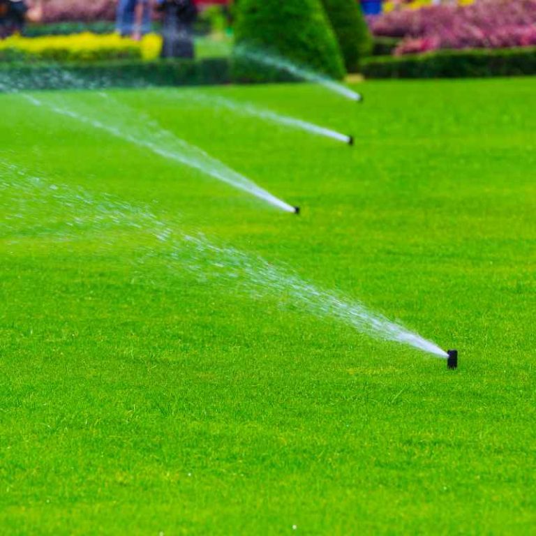 Why Someone Might Prefer Spray Irrigation Over Drip Systems