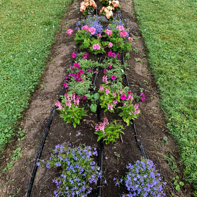 Are Soaker Hoses Good for Vegetable Gardens