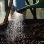 Can Triazicide Be Used in Vegetable Gardens Safely