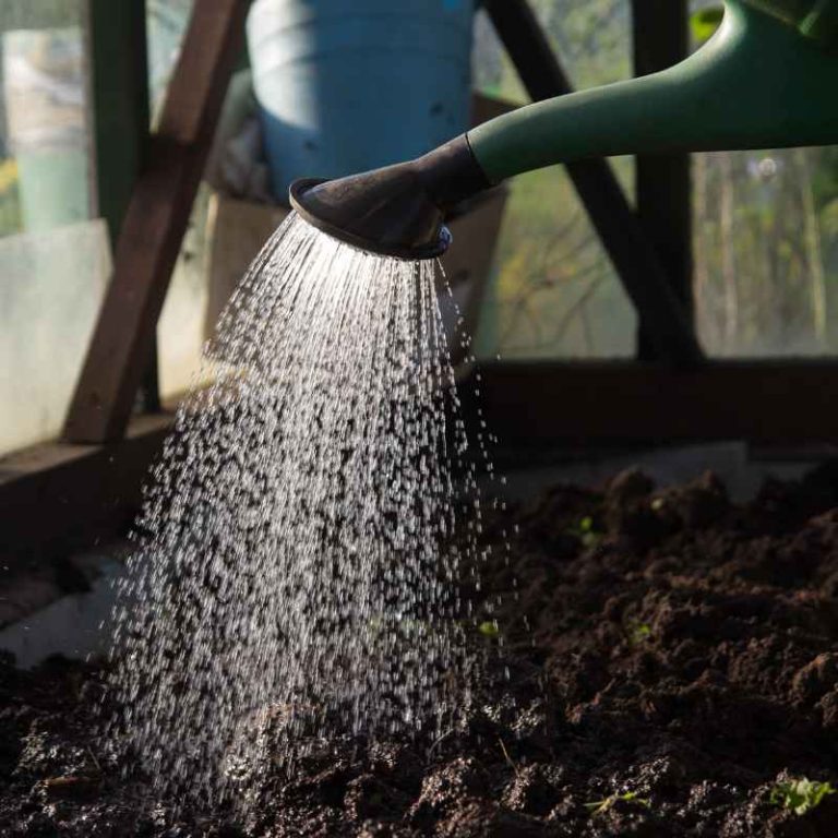 Can Triazicide Be Used in Vegetable Gardens Safely