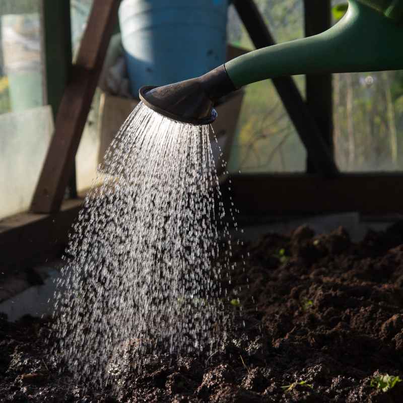 Can Triazicide Be Used in Vegetable Gardens Safely