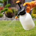 Homemade Pesticides for Vegetable Gardens
