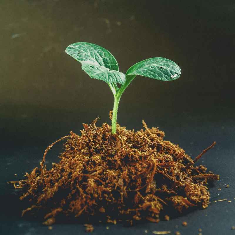 Potential Challenges and How to Overcome Them
