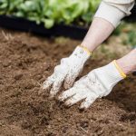 How to Prepare Sand for Vegetable Gardening