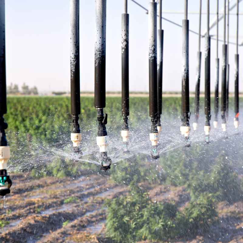 How to Test and Adjust Your Drip System