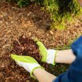 Is Hardwood Mulch Safe for Vegetable Gardens