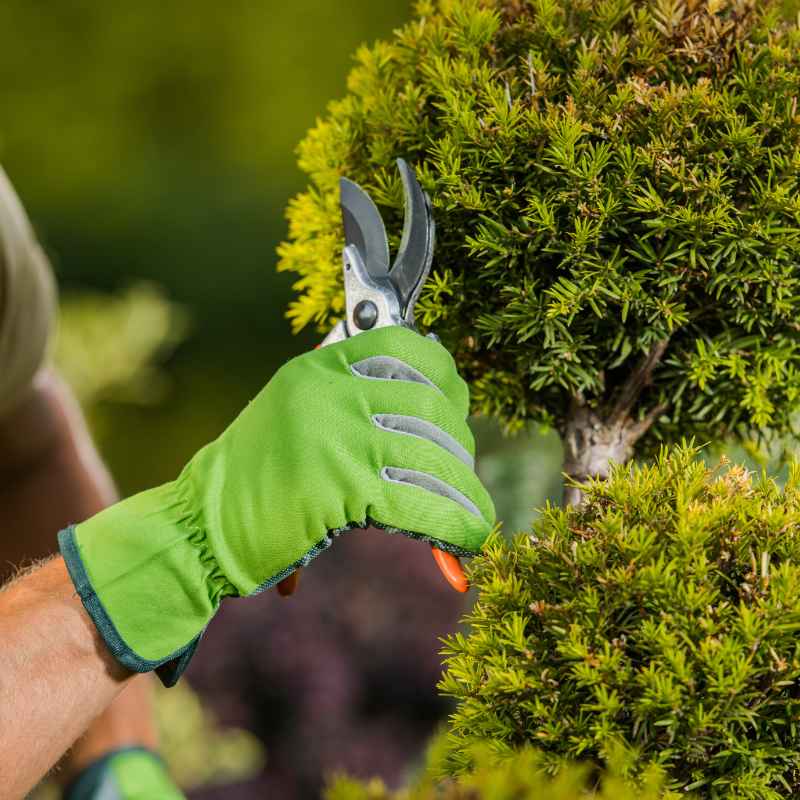 What is a Reliable Landscaping Supplier?