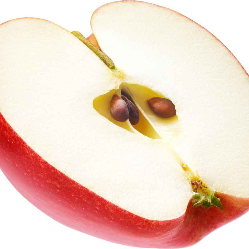 When is the Best Time to Plant Apple Seeds