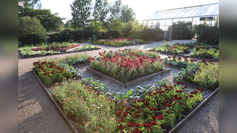 Are Snapdragons Good for Vegetable Gardens? Gardener'S Guide