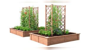 Are Vegetable Gardens Worth Your Time? Honest Take Here