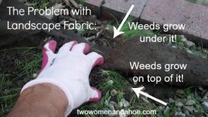 Can Roots Go Through Landscape Fabric