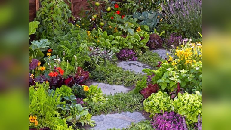 Can Vegetable Plants Be Planted in Flower Gardens