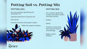 Can You Mix Potting Soil And Potting Mix Together?