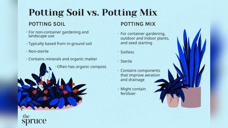 Can You Mix Potting Soil And Potting Mix Together?